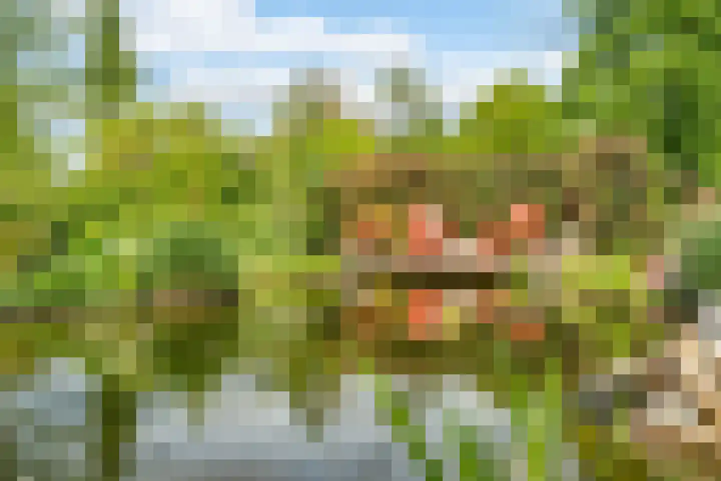 Molenlaan 1 a Frederiksoord thumbnail 45