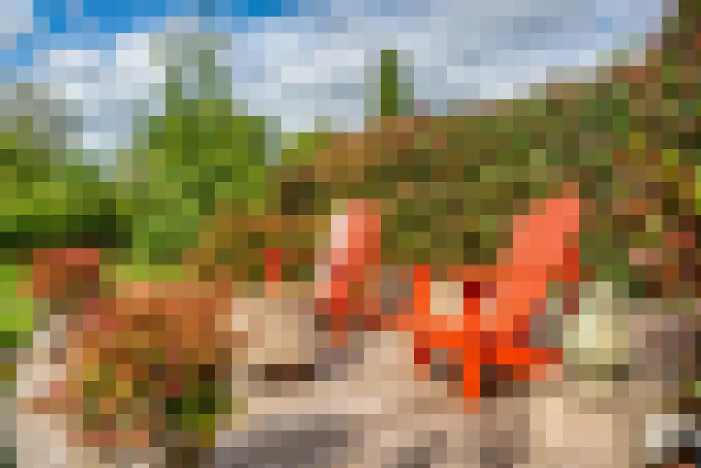 Molenlaan 1 a Frederiksoord thumbnail 46