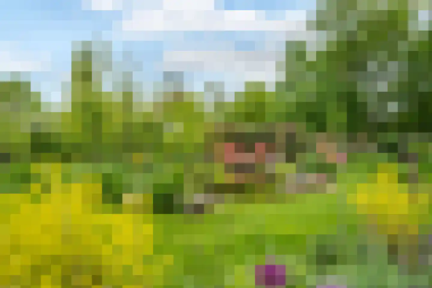 Molenlaan 1 a Frederiksoord thumbnail 47