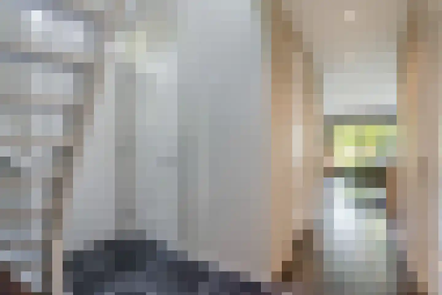 Molenlaan 1 a Frederiksoord thumbnail 5