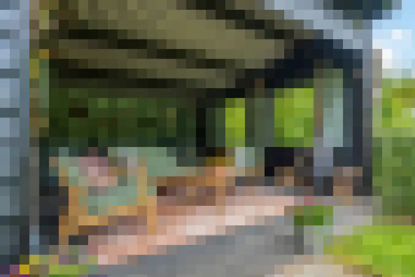 Molenlaan 1 a Frederiksoord thumbnail 53