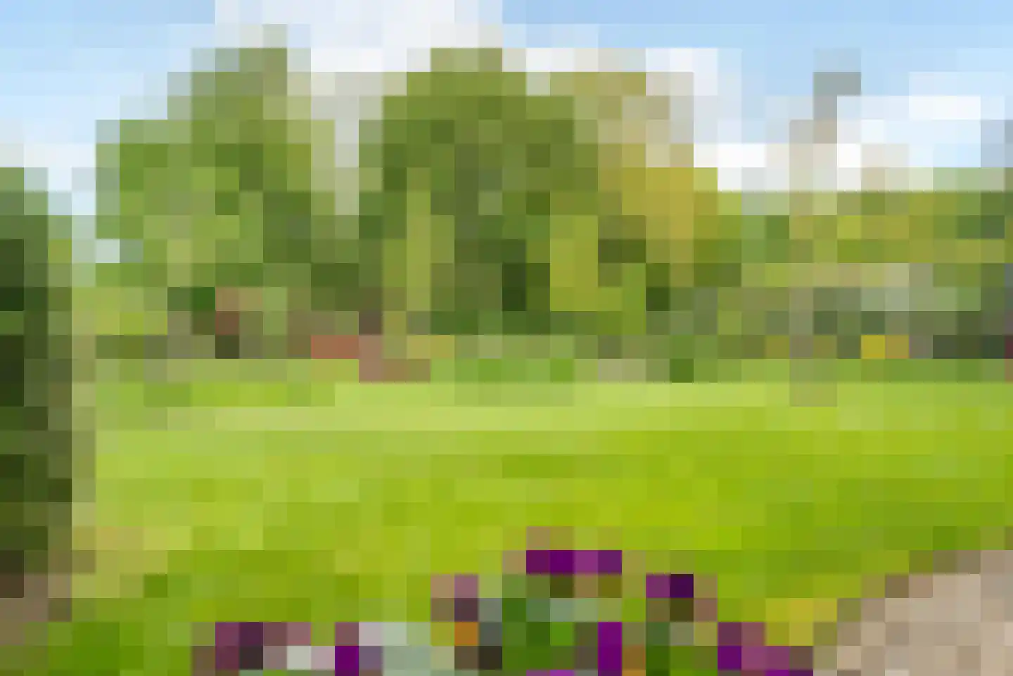 Molenlaan 1 a Frederiksoord thumbnail 56