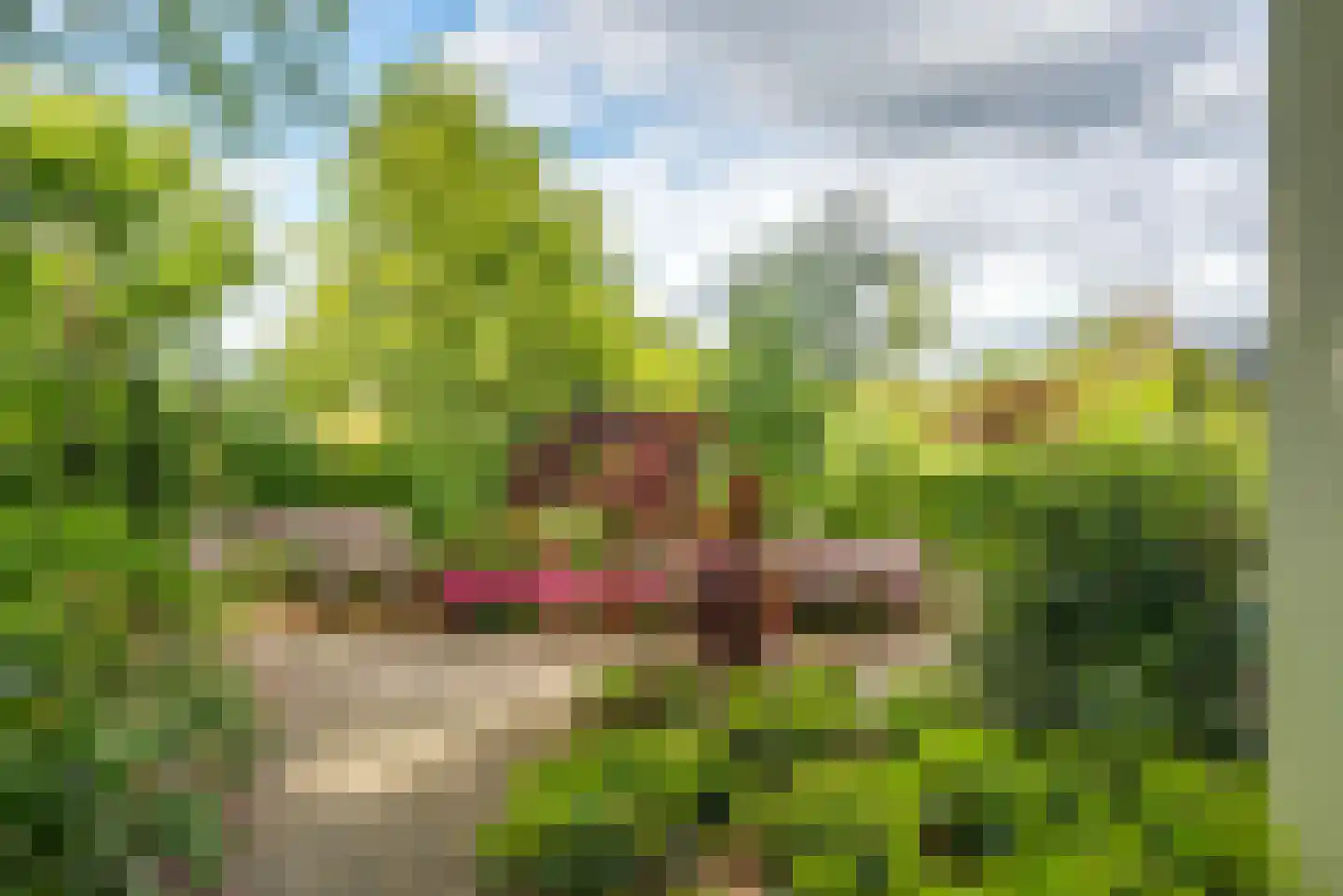 Molenlaan 1 a Frederiksoord thumbnail 57
