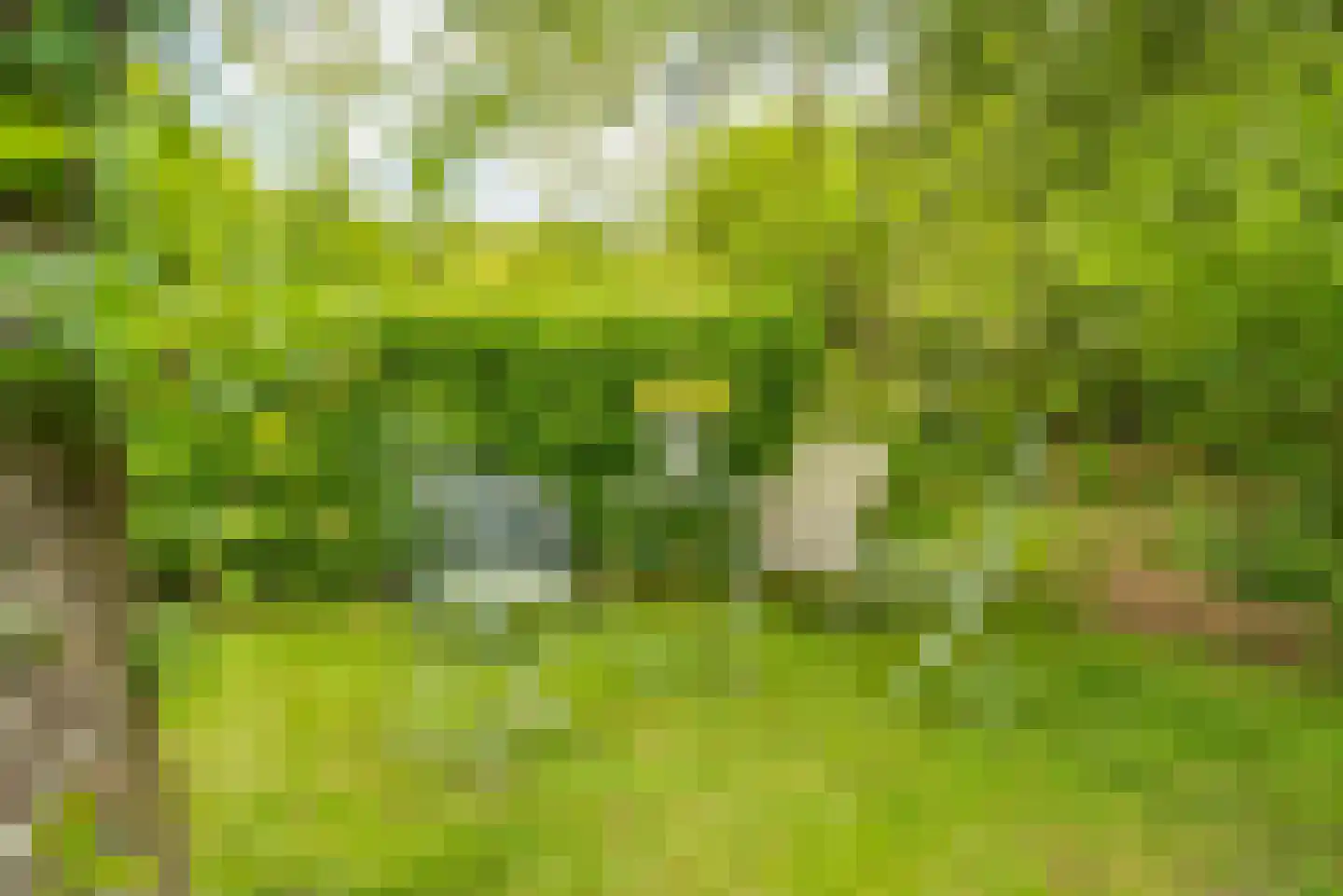 Molenlaan 1 a Frederiksoord thumbnail 58