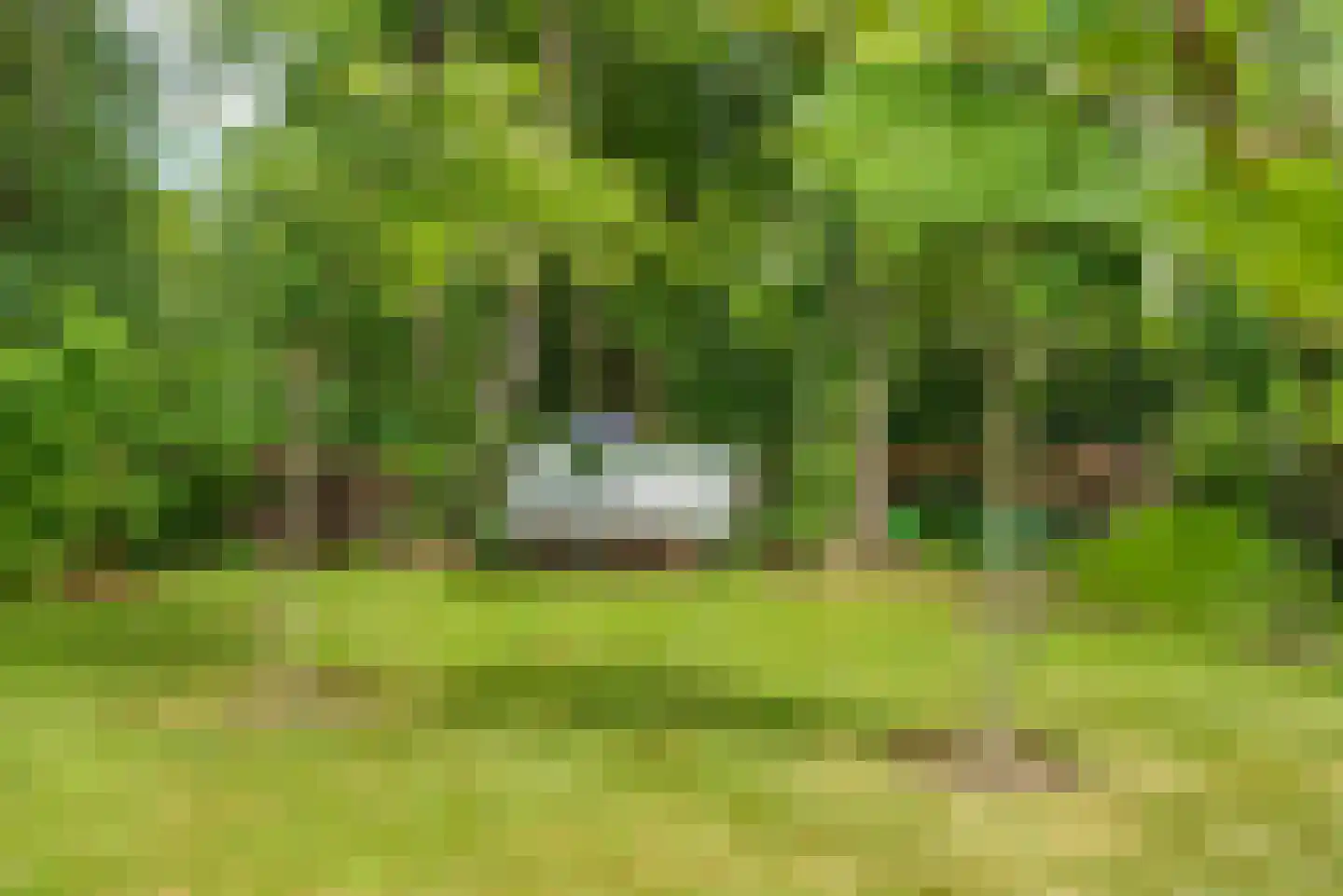 Molenlaan 1 a Frederiksoord thumbnail 59