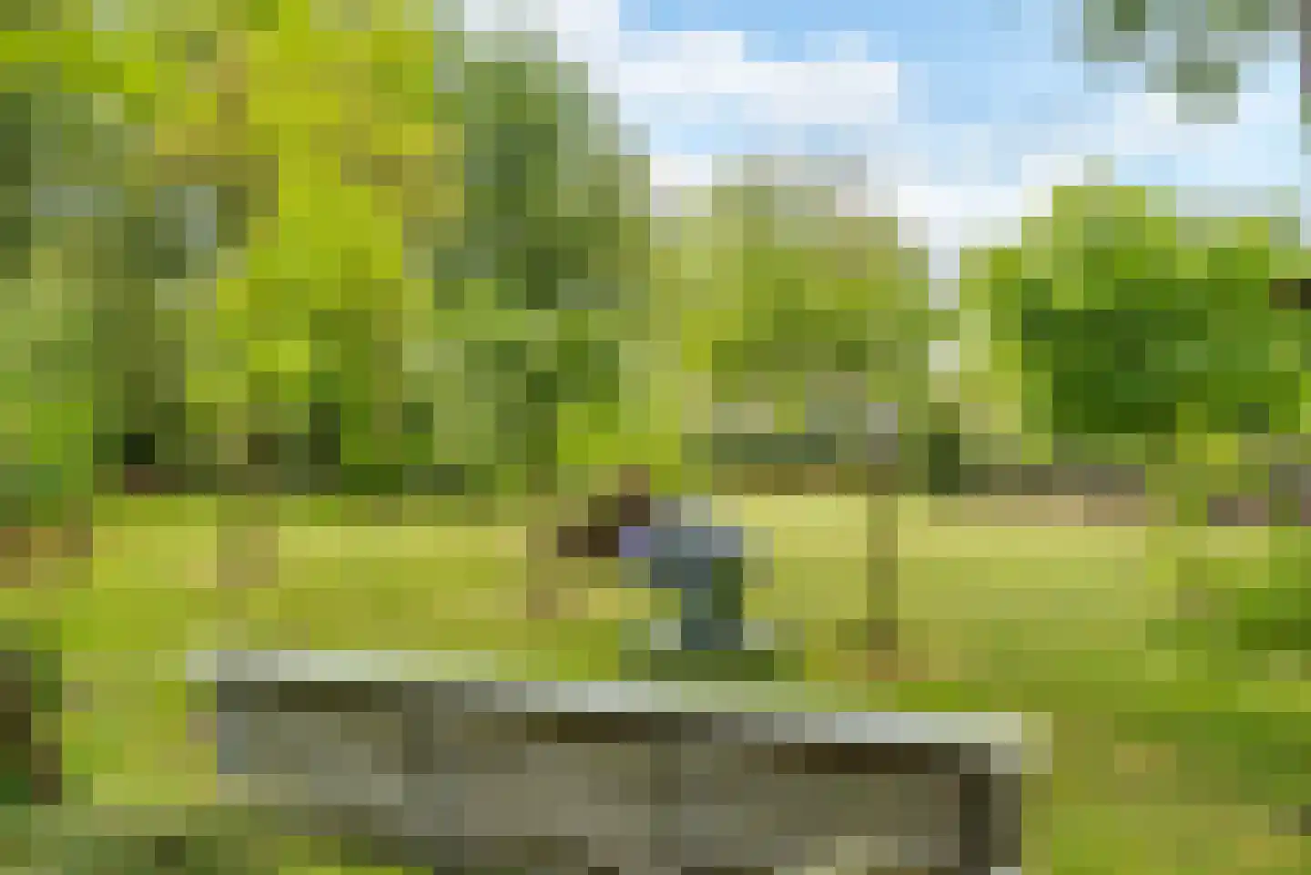 Molenlaan 1 a Frederiksoord thumbnail 60