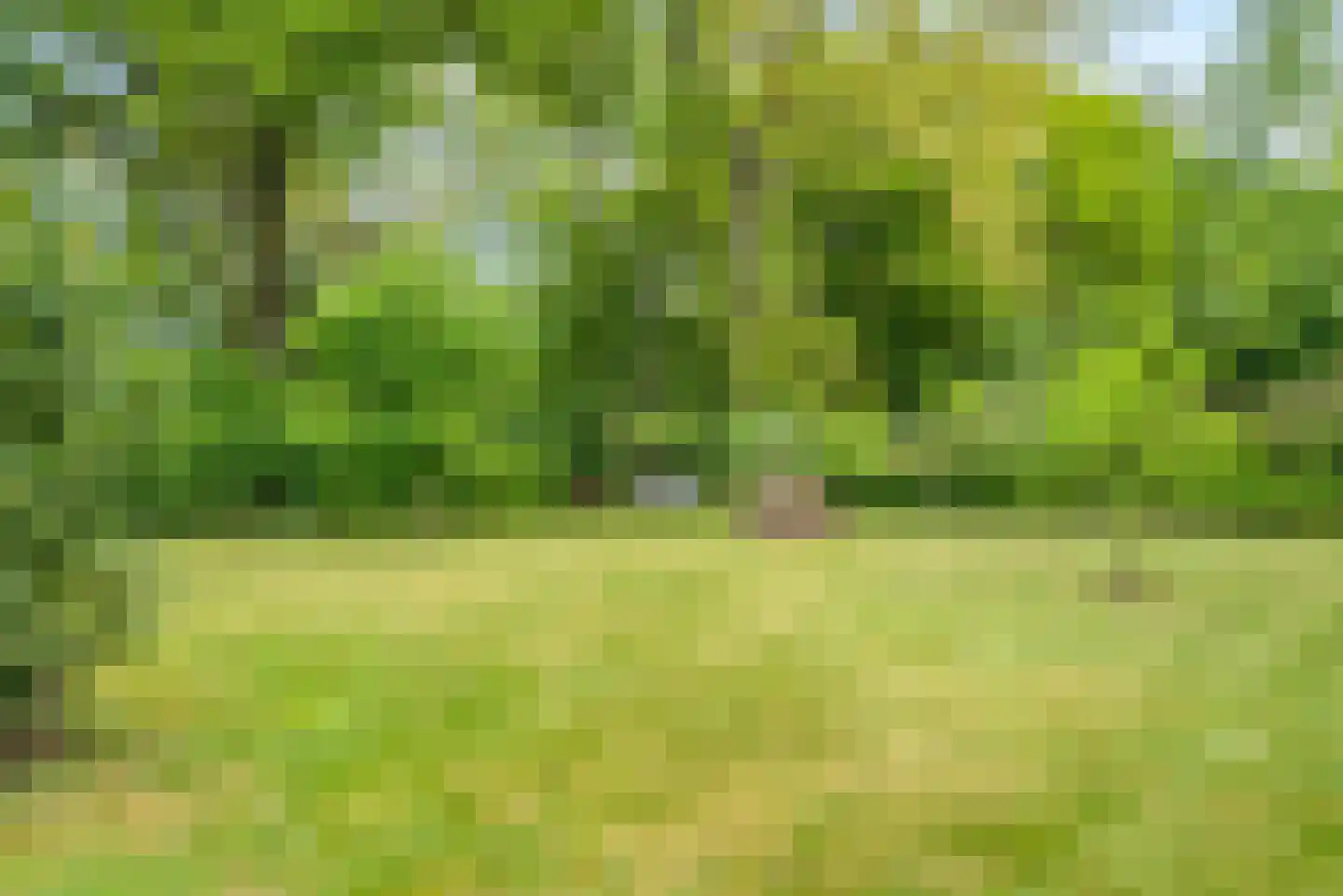 Molenlaan 1 a Frederiksoord thumbnail 61