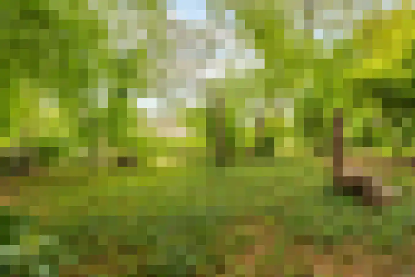 Molenlaan 1 a Frederiksoord thumbnail 62