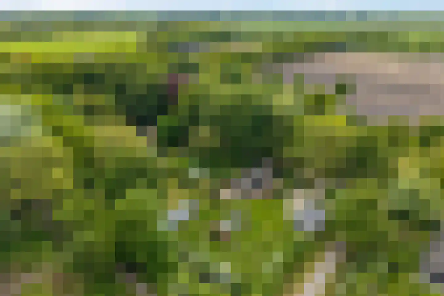 Molenlaan 1 a Frederiksoord thumbnail 65
