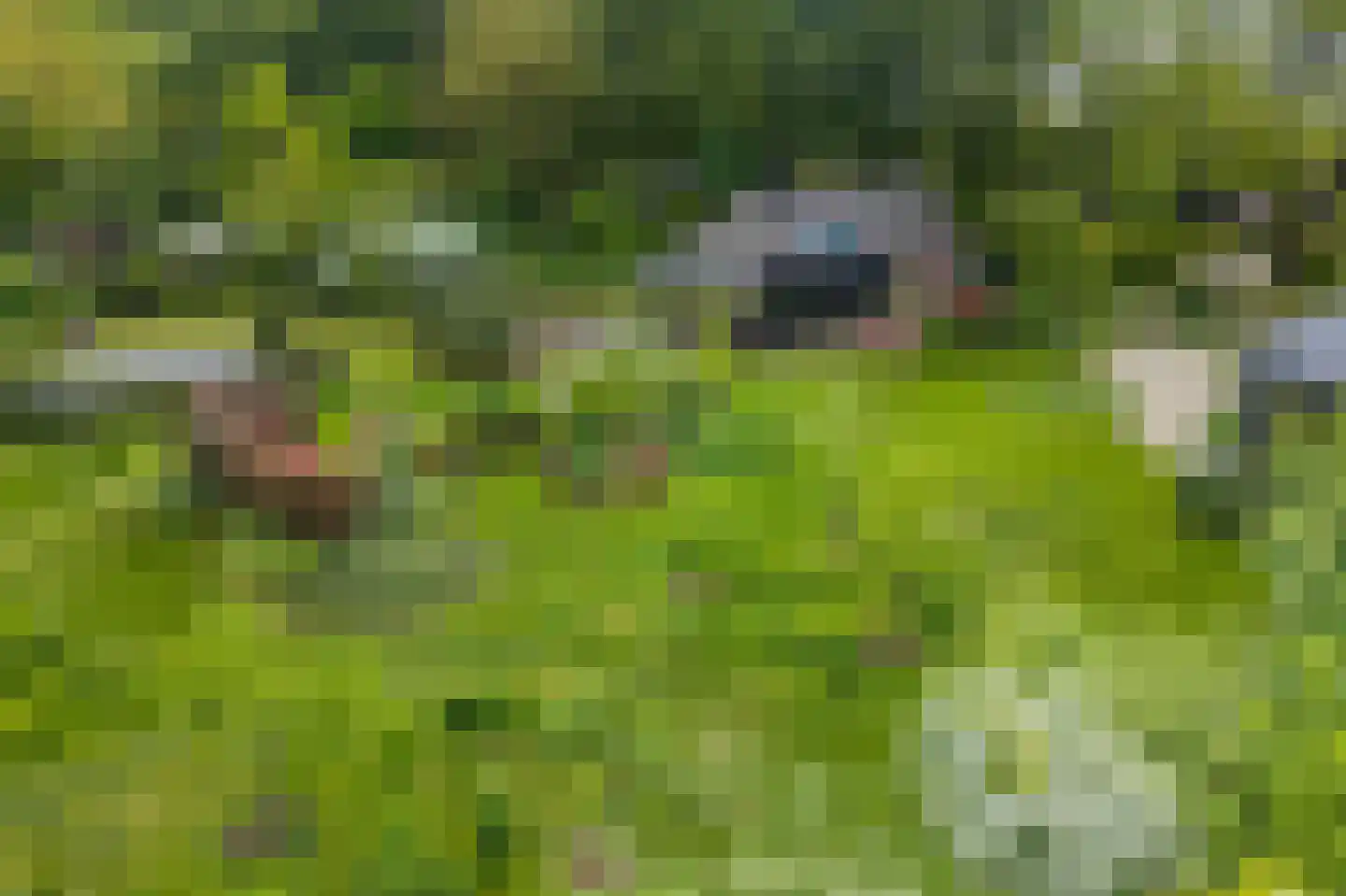 Molenlaan 1 a Frederiksoord thumbnail 66