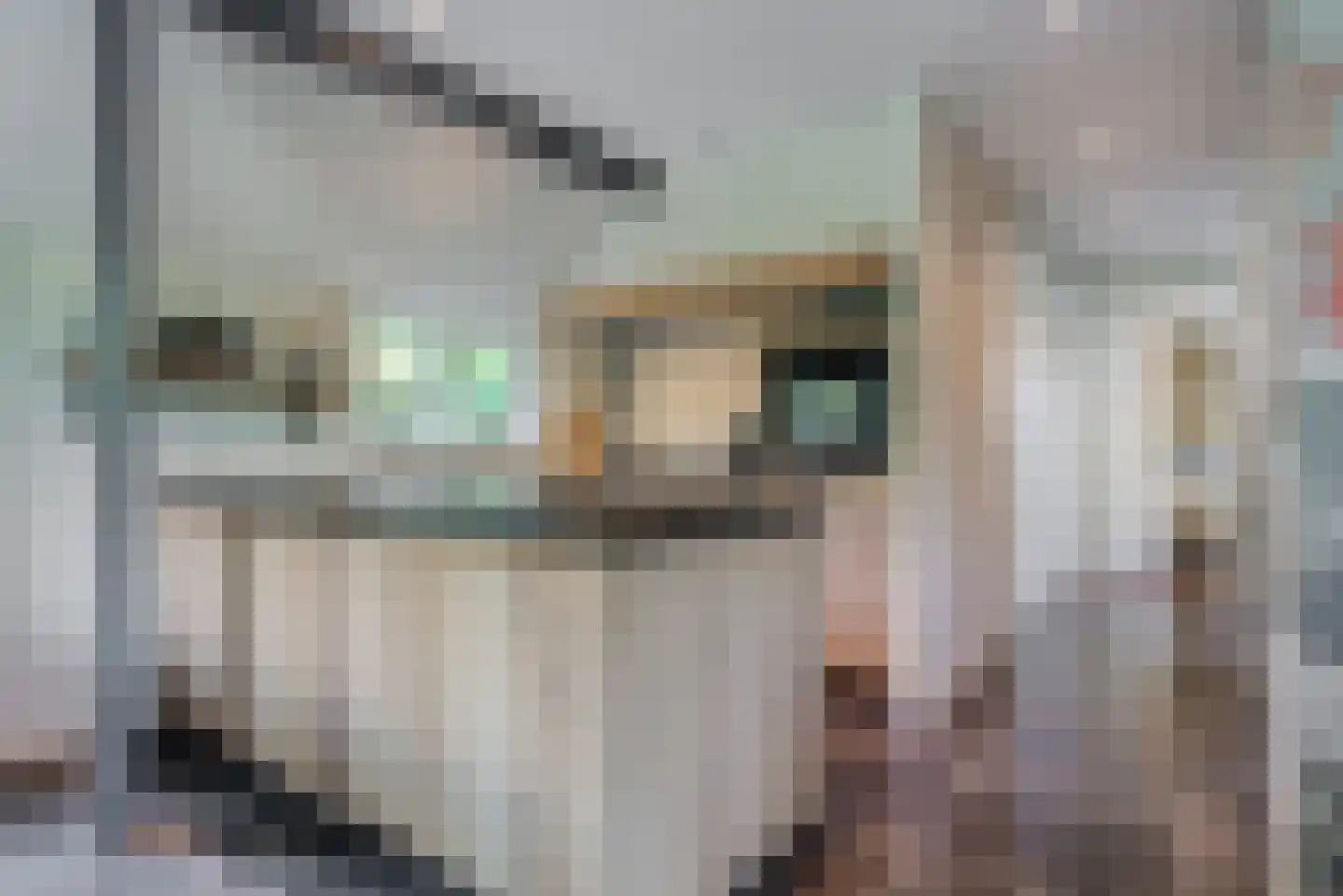 Molenlaan 1 a Frederiksoord thumbnail 7