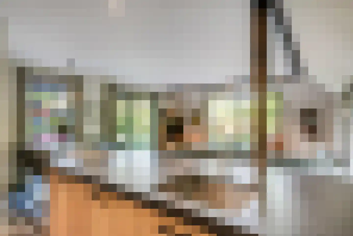 Molenlaan 1 a Frederiksoord thumbnail 9