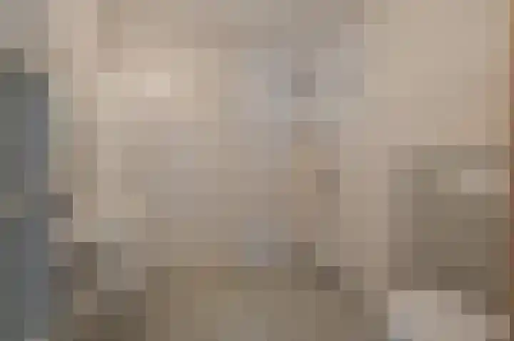 Molenlaan 1 Midwolda thumbnail 19