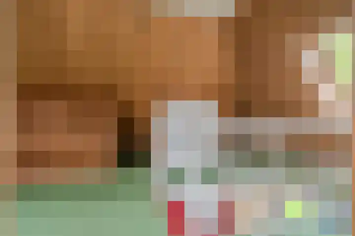 Molenlaan 1 Midwolda thumbnail 26