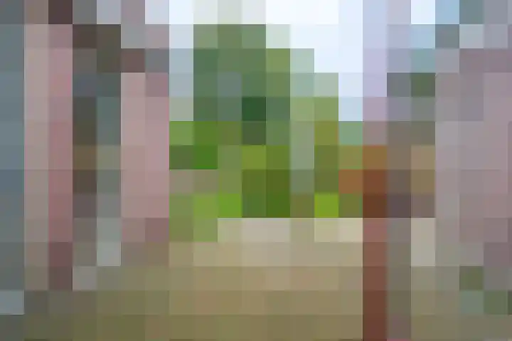 Molenlaan 1 Midwolda thumbnail 28