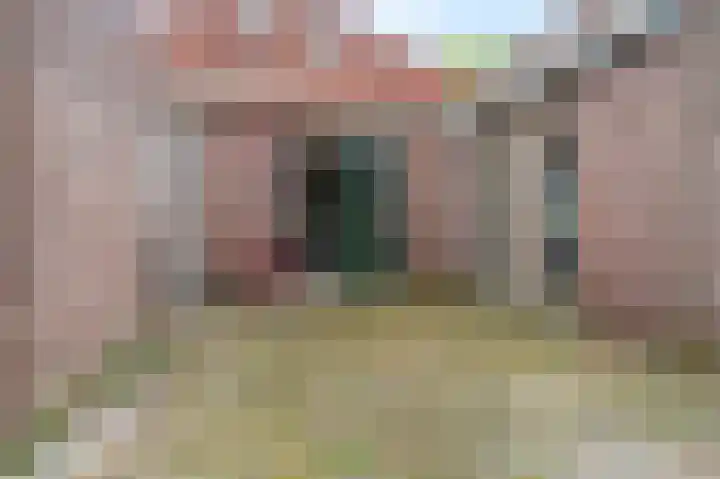 Molenlaan 1 Midwolda thumbnail 29