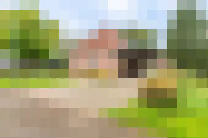 Molenlaan 1 Midwolda foto 3