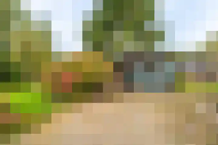 Molenlaan 1 Midwolda thumbnail 30