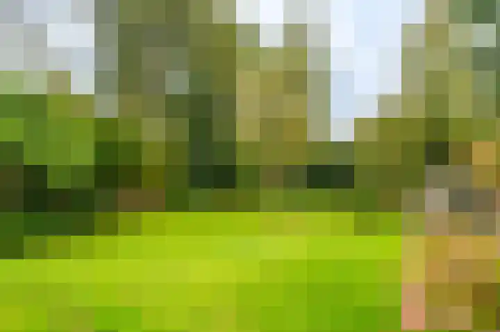 Molenlaan 1 Midwolda thumbnail 31