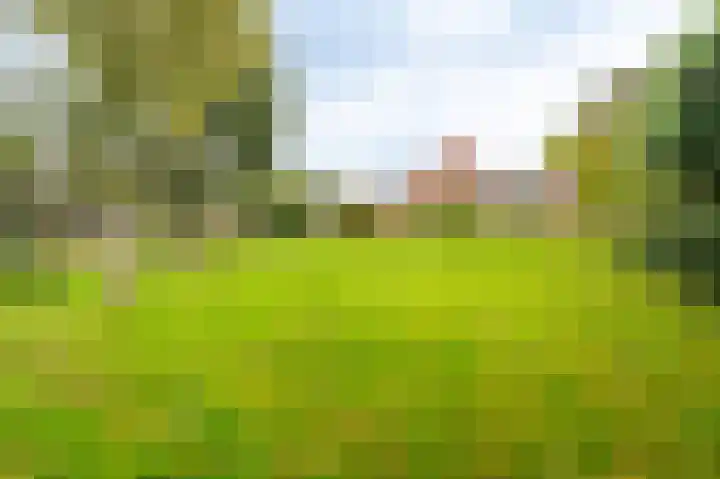 Molenlaan 1 Midwolda thumbnail 32