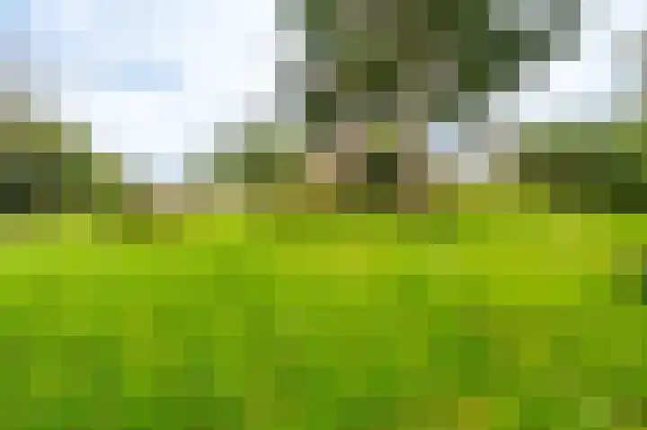 Molenlaan 1 Midwolda thumbnail 33