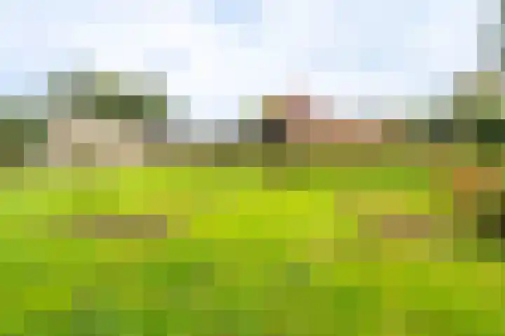Molenlaan 1 Midwolda thumbnail 34