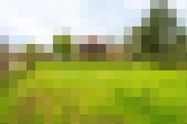Molenlaan 1 Midwolda thumbnail 35