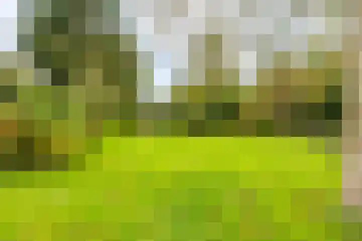 Molenlaan 1 Midwolda thumbnail 36