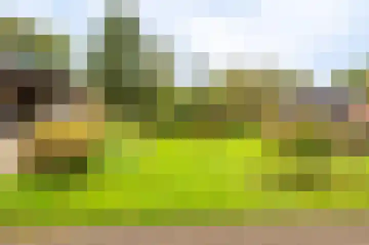 Molenlaan 1 Midwolda thumbnail 37