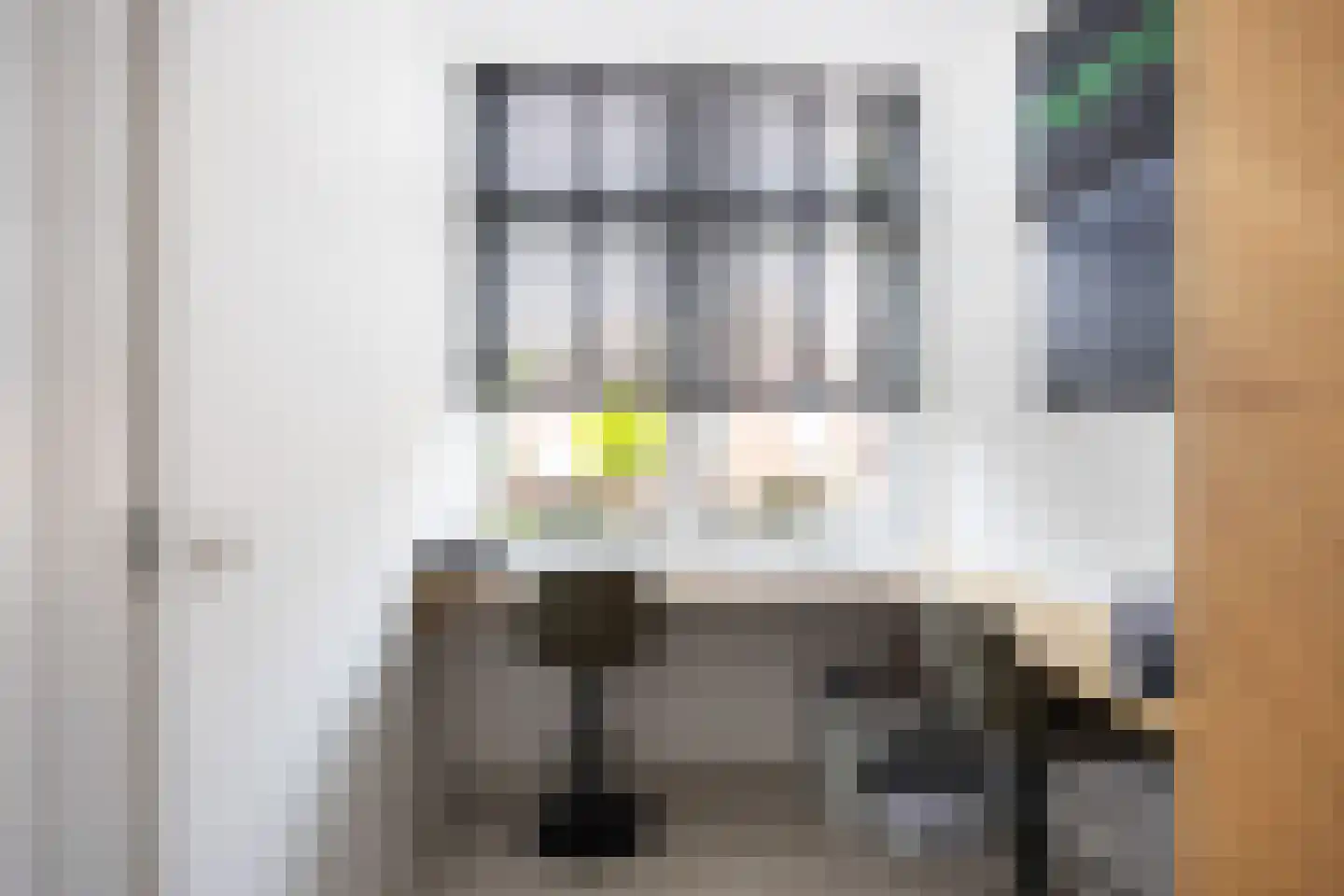Molenlaan 1 Siddeburen thumbnail 12
