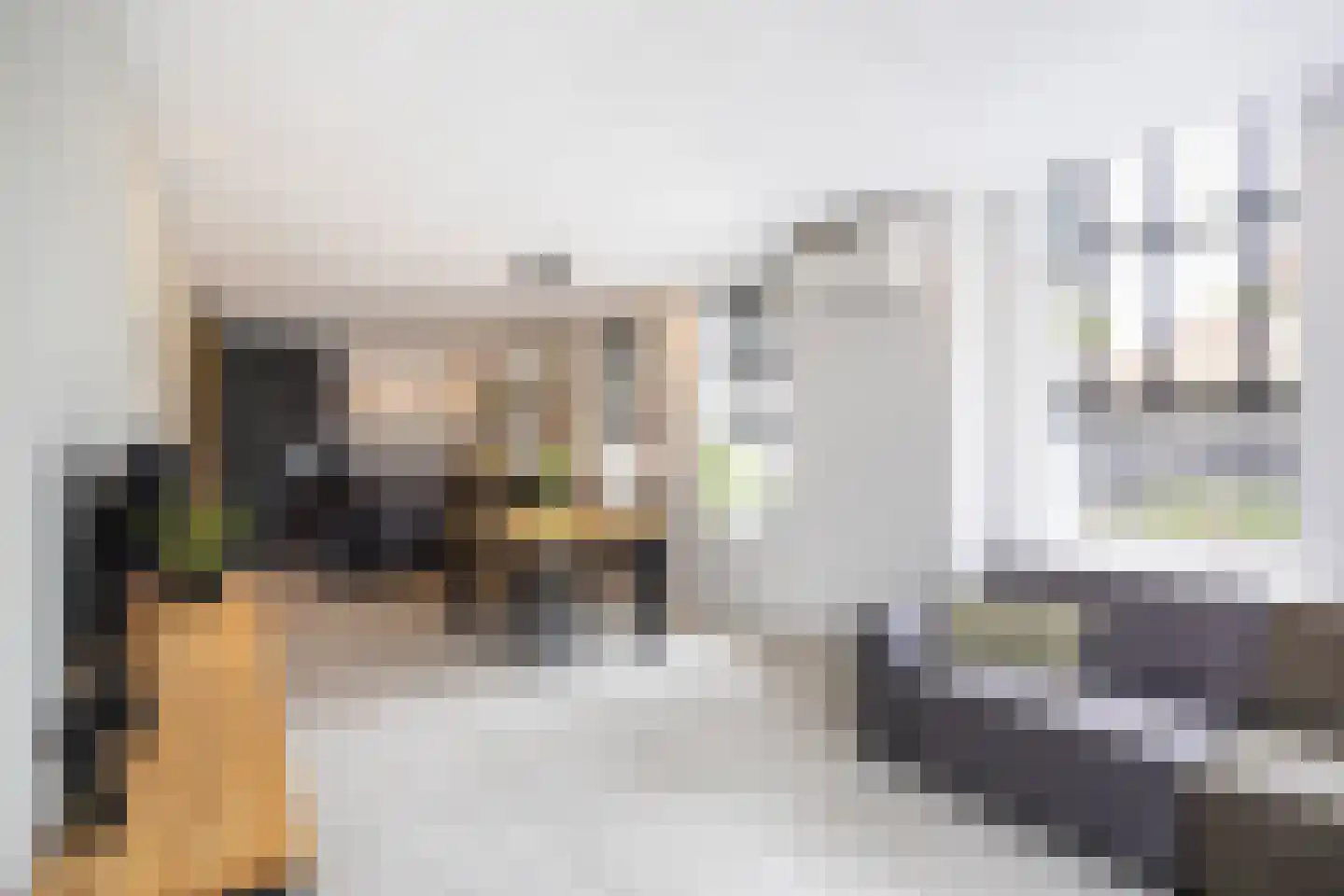 Molenlaan 1 Siddeburen thumbnail 16