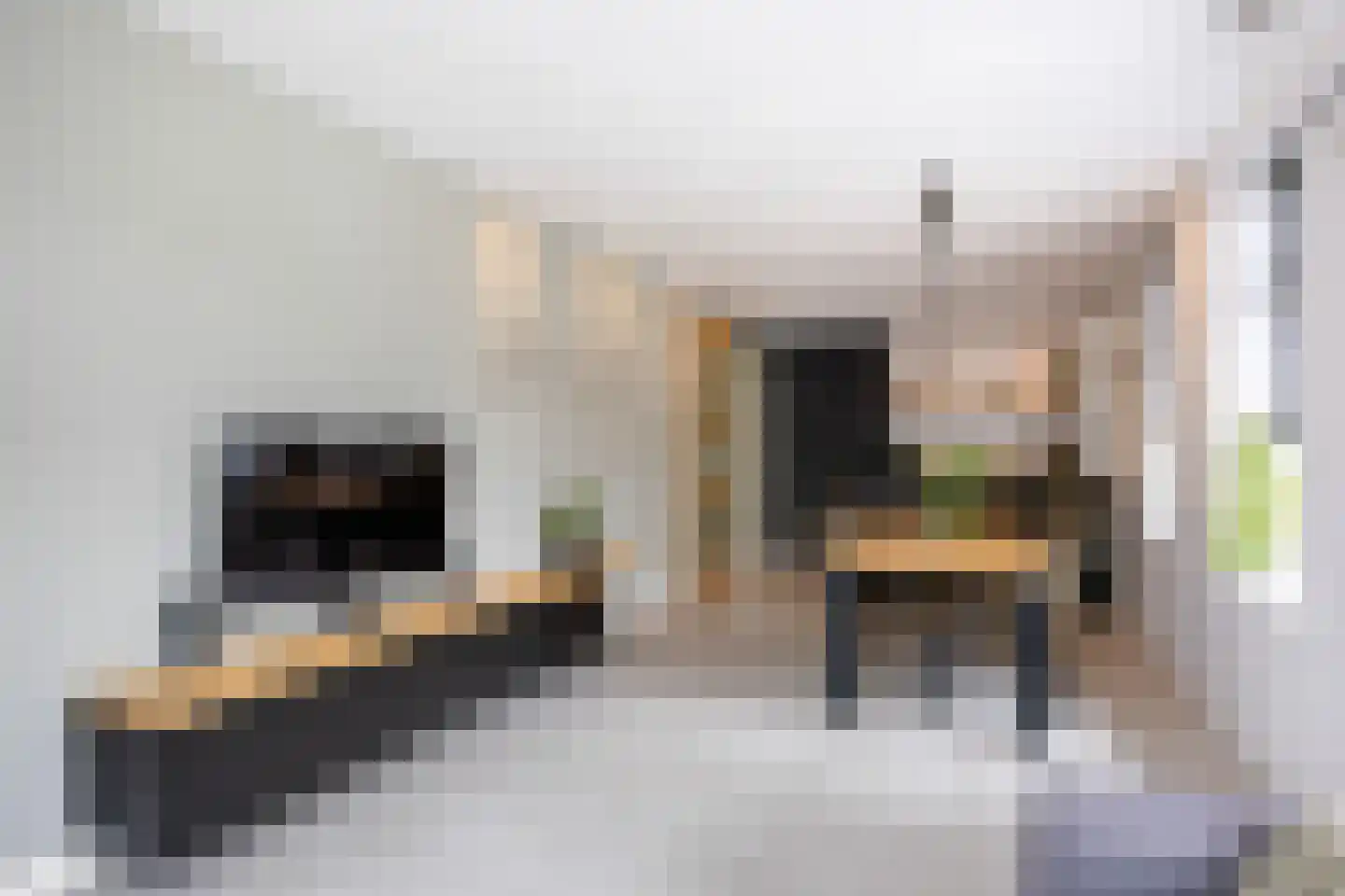 Molenlaan 1 Siddeburen thumbnail 17
