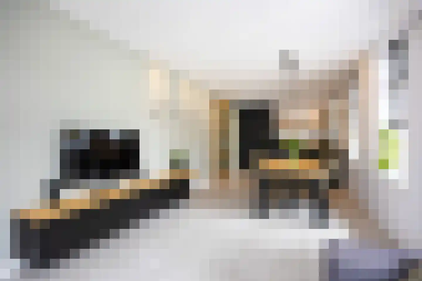 Molenlaan 1 Siddeburen thumbnail 22
