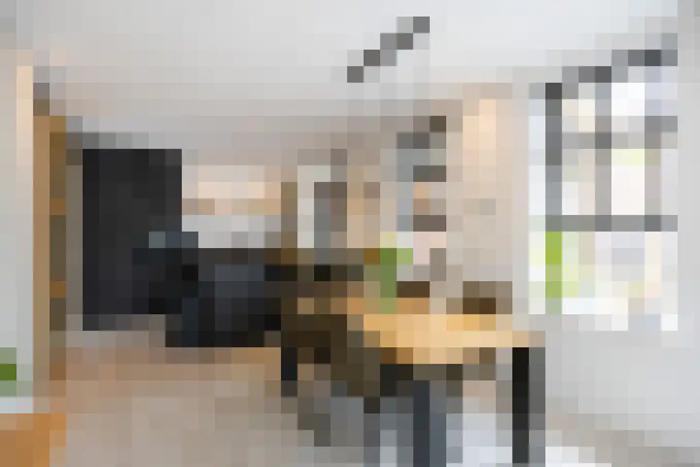 Molenlaan 1 Siddeburen thumbnail 23
