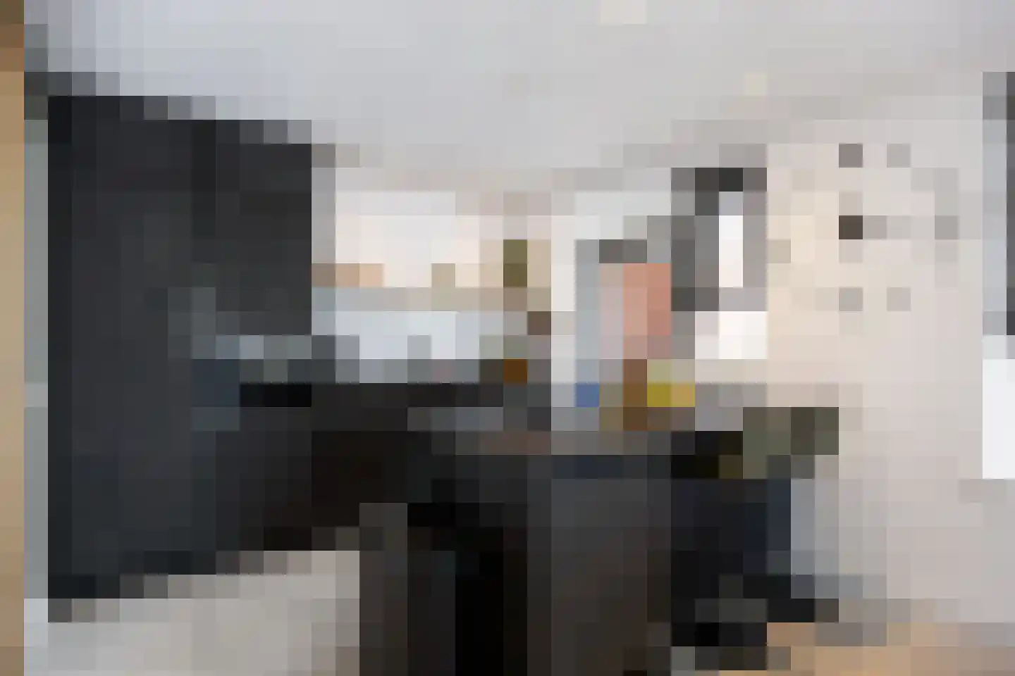 Molenlaan 1 Siddeburen thumbnail 26