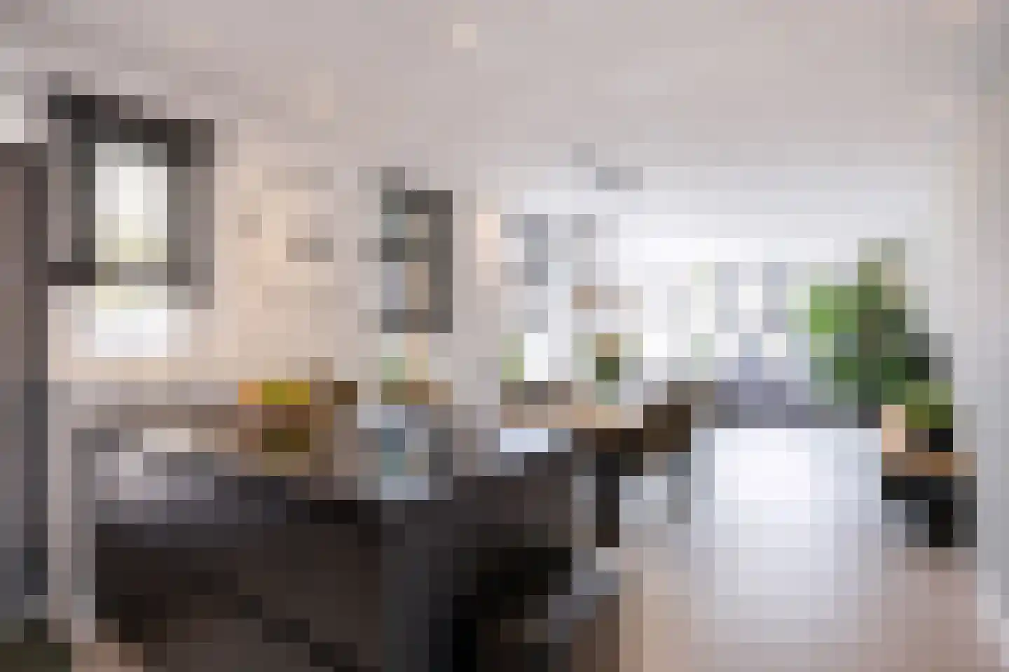Molenlaan 1 Siddeburen thumbnail 34
