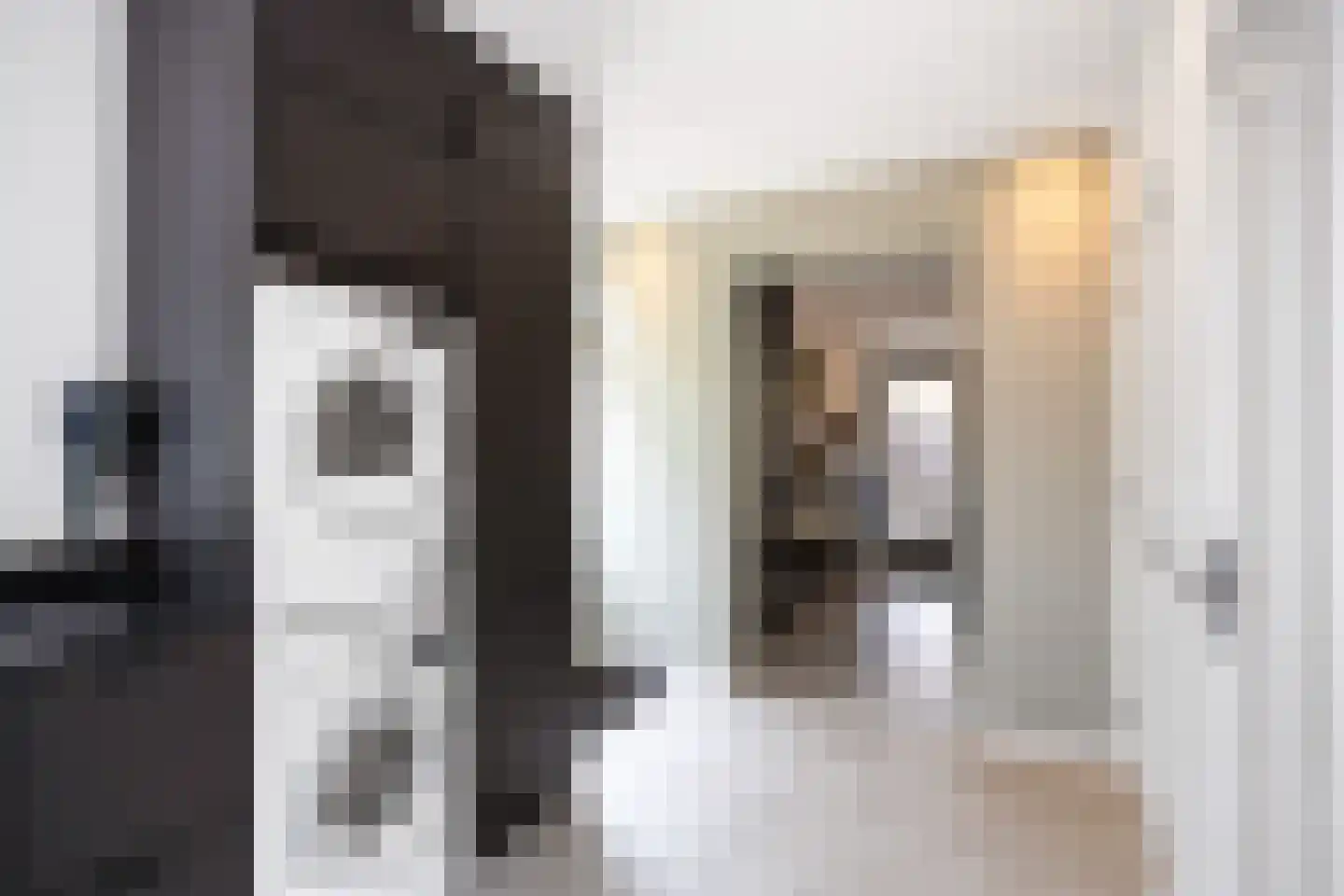 Molenlaan 1 Siddeburen thumbnail 37