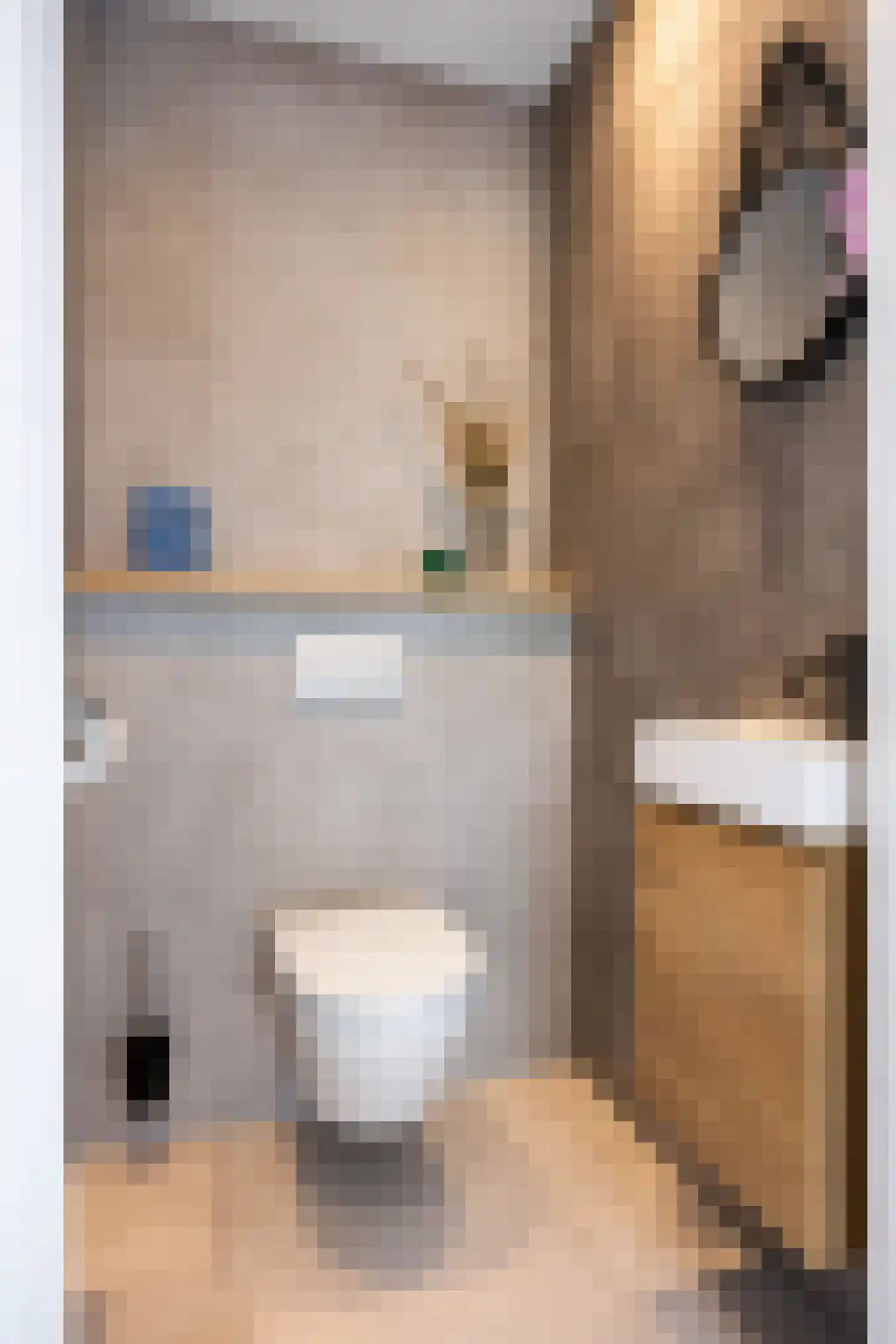 Molenlaan 1 Siddeburen thumbnail 38
