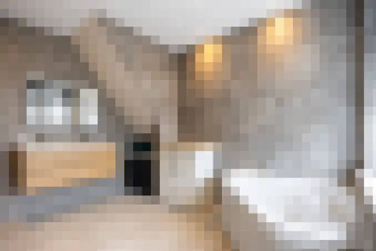 Molenlaan 1 Siddeburen thumbnail 40