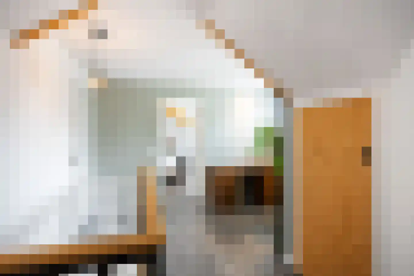 Molenlaan 1 Siddeburen thumbnail 46