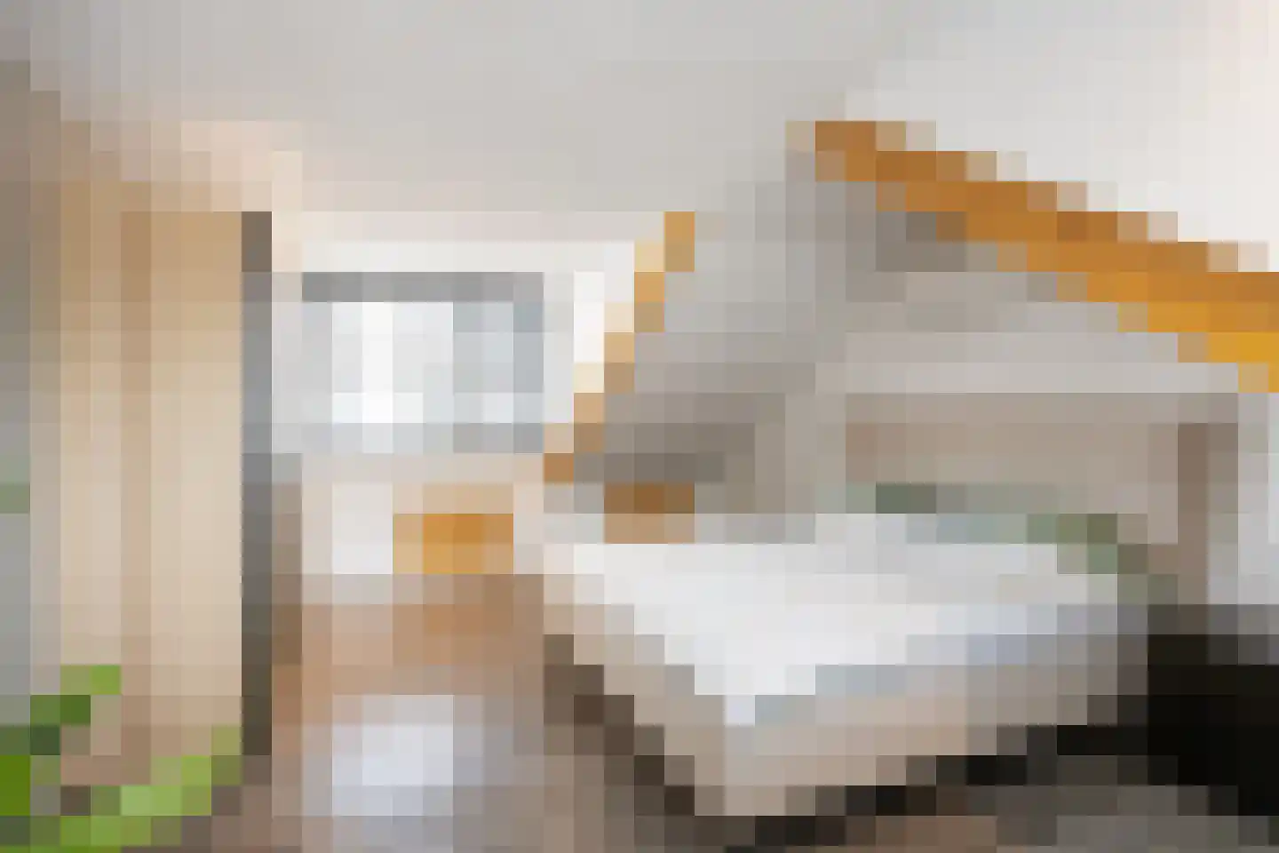 Molenlaan 1 Siddeburen thumbnail 49