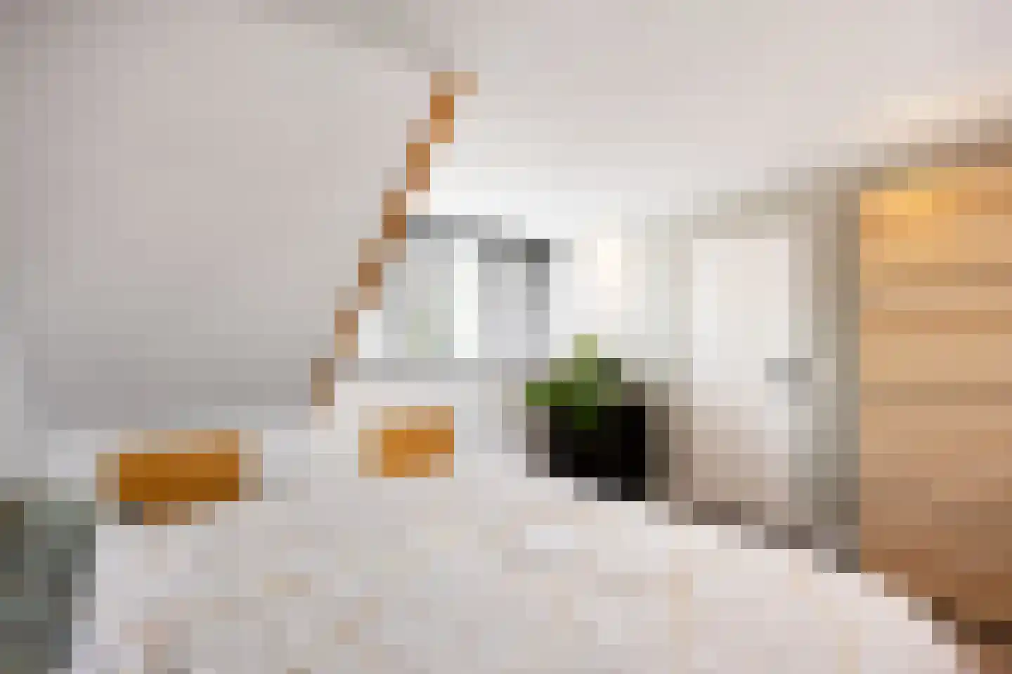 Molenlaan 1 Siddeburen thumbnail 50