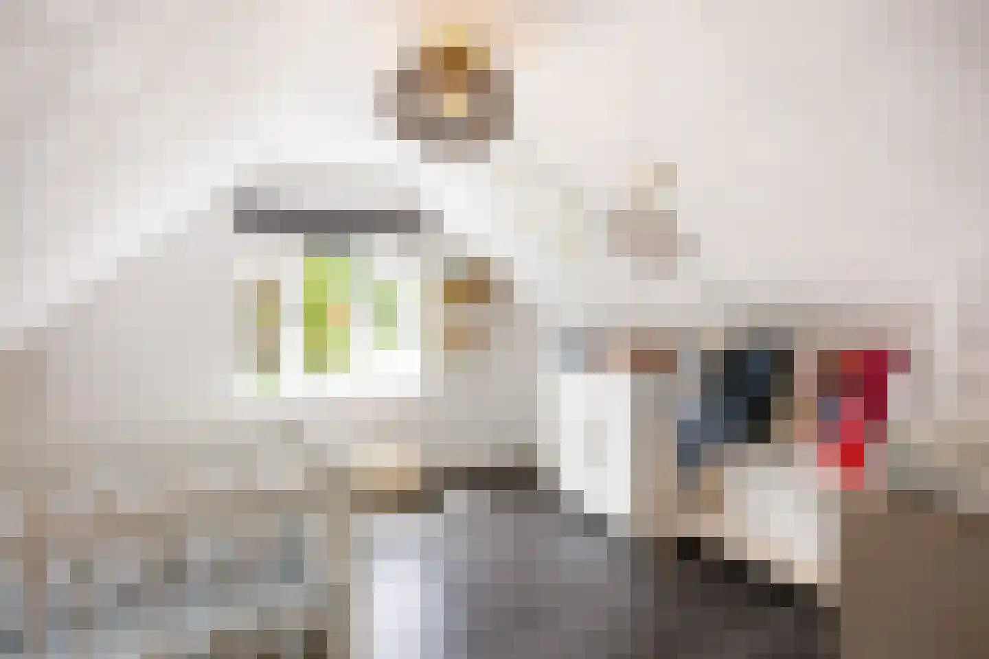Molenlaan 1 Siddeburen thumbnail 51