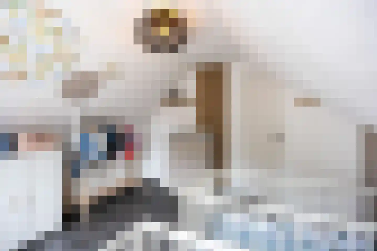 Molenlaan 1 Siddeburen thumbnail 52