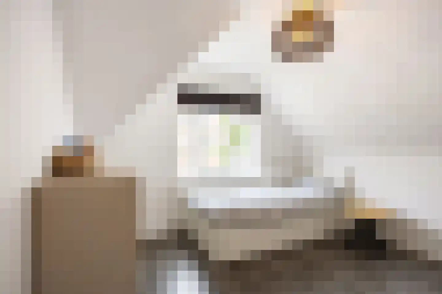 Molenlaan 1 Siddeburen thumbnail 53