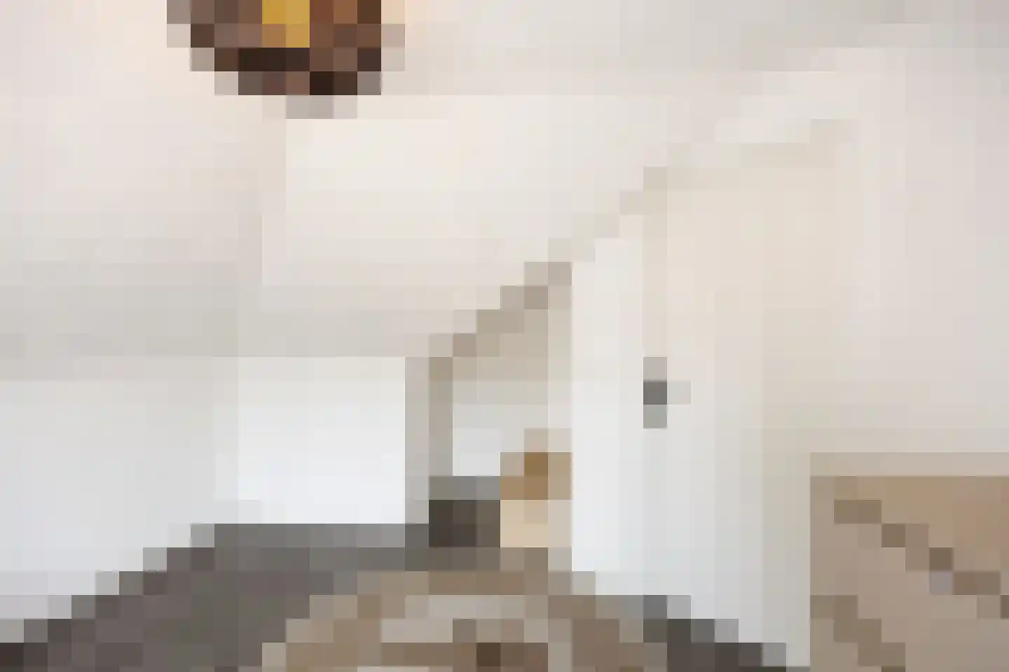 Molenlaan 1 Siddeburen thumbnail 54