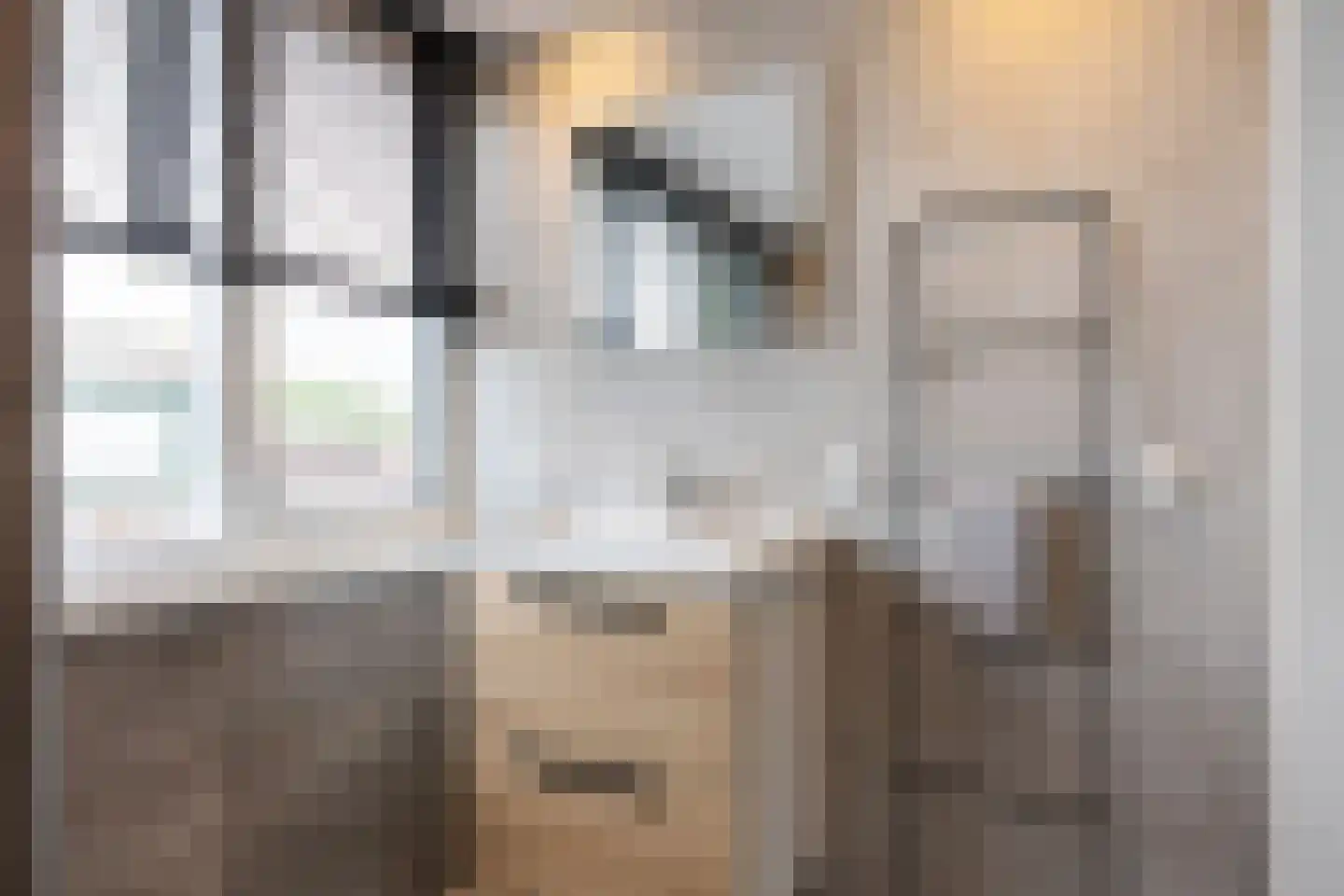 Molenlaan 1 Siddeburen thumbnail 58