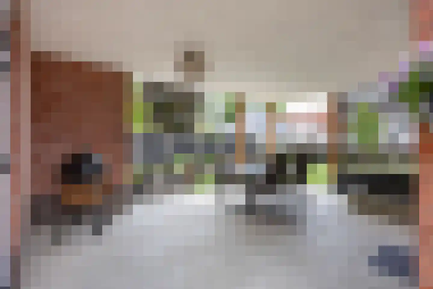Molenlaan 1 Siddeburen thumbnail 63