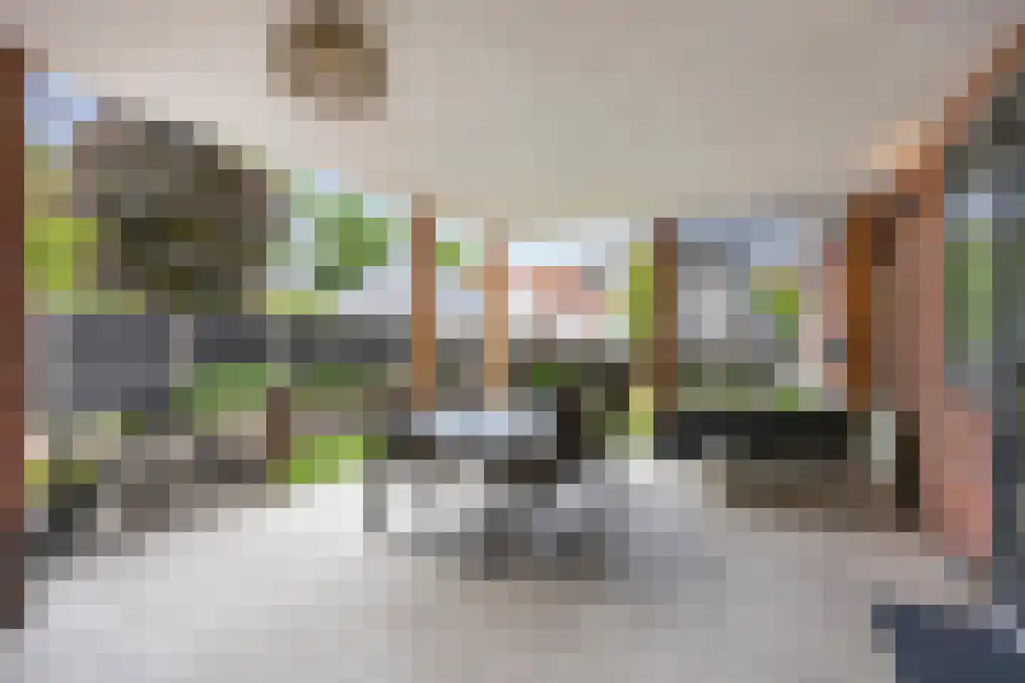 Molenlaan 1 Siddeburen thumbnail 64
