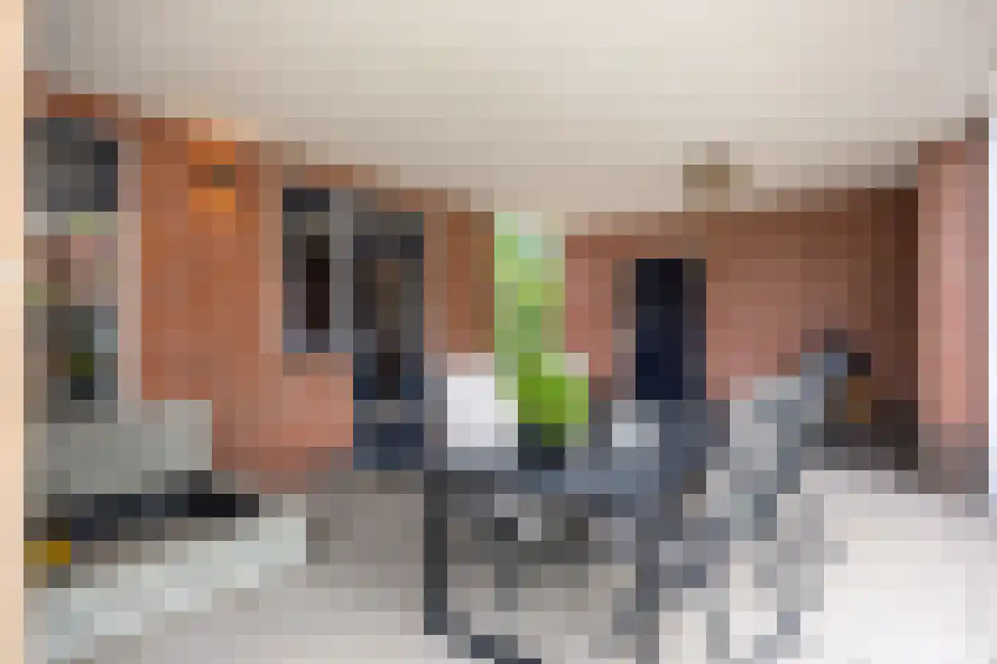 Molenlaan 1 Siddeburen thumbnail 68